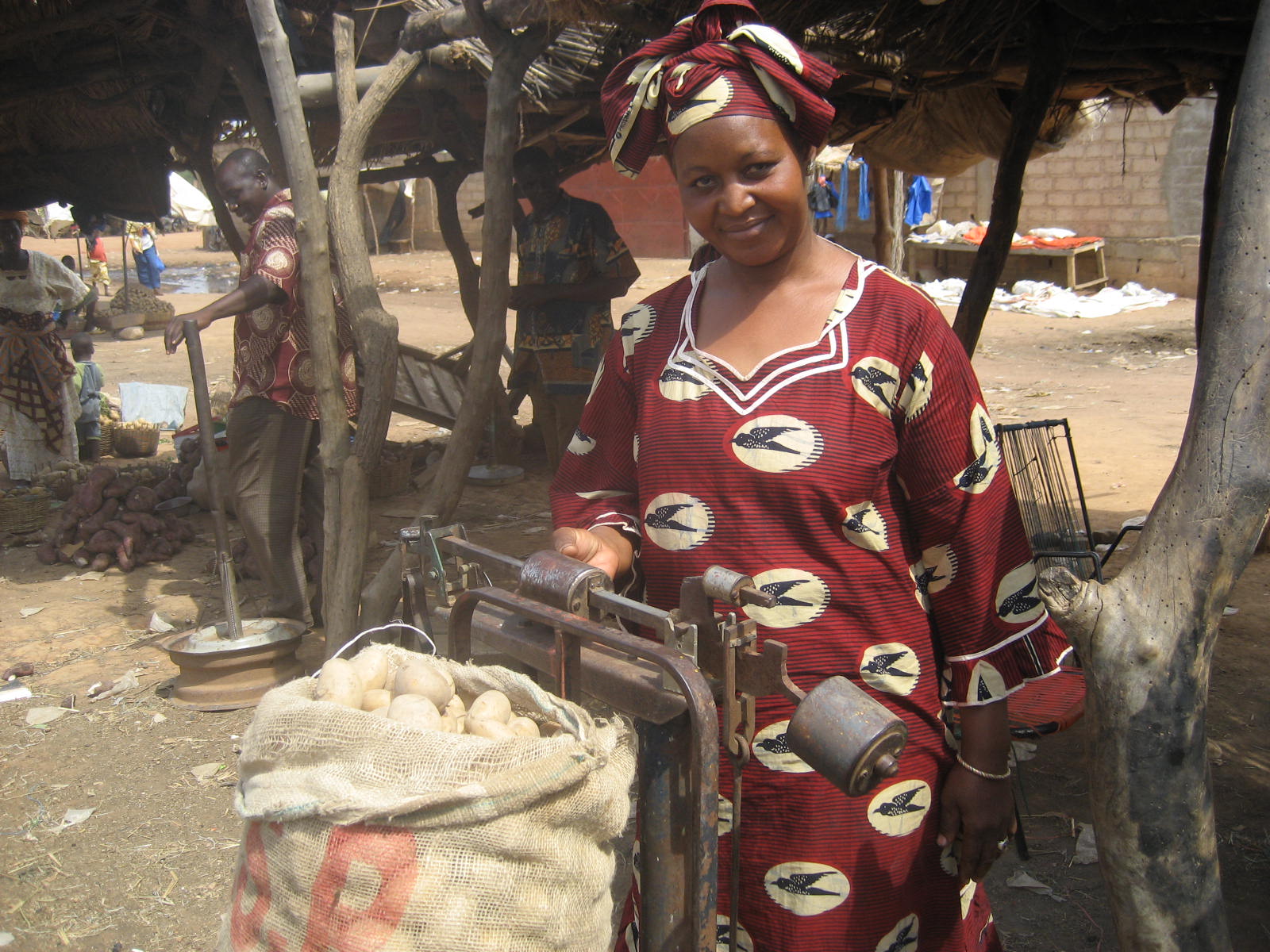potato trader mali